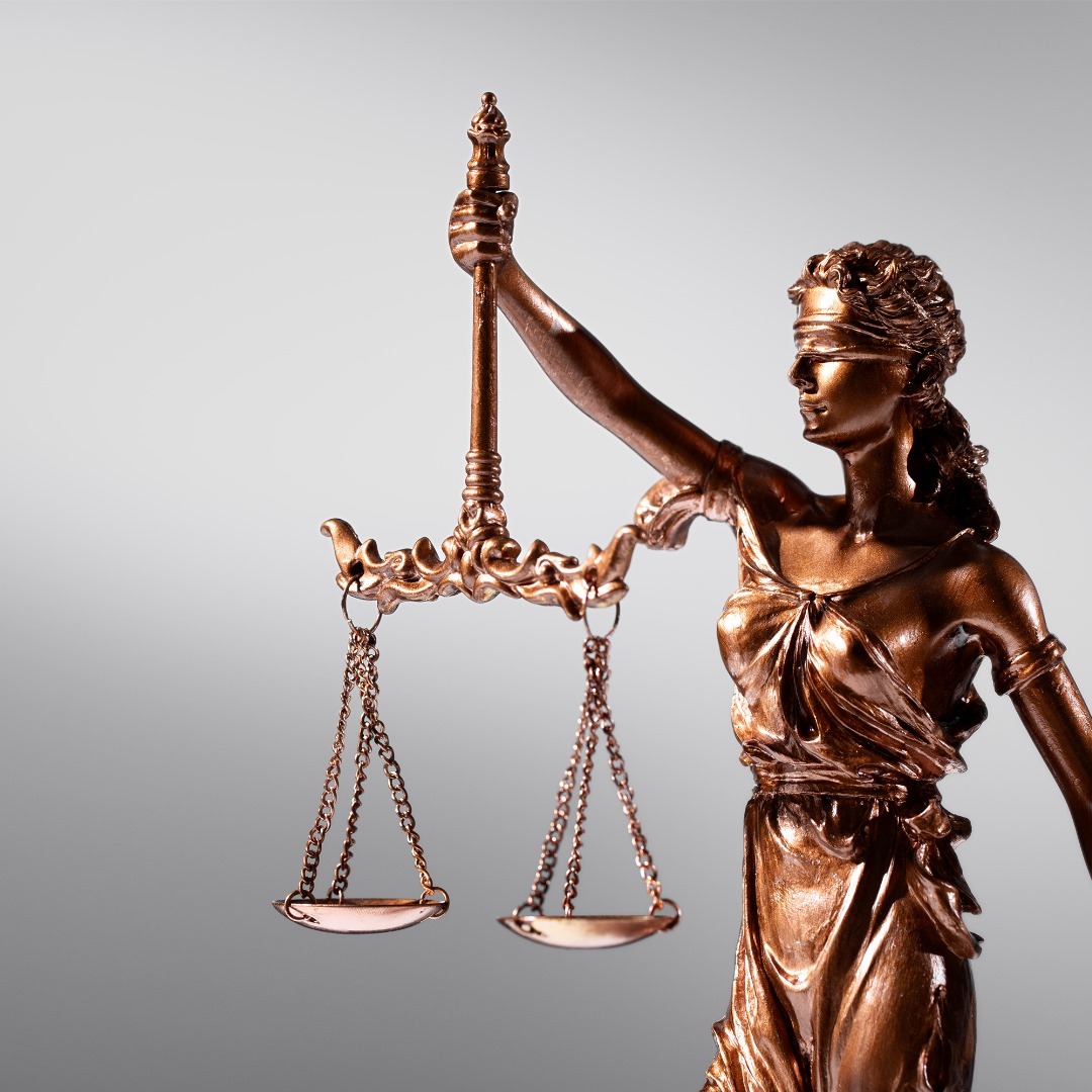 expertise litigation